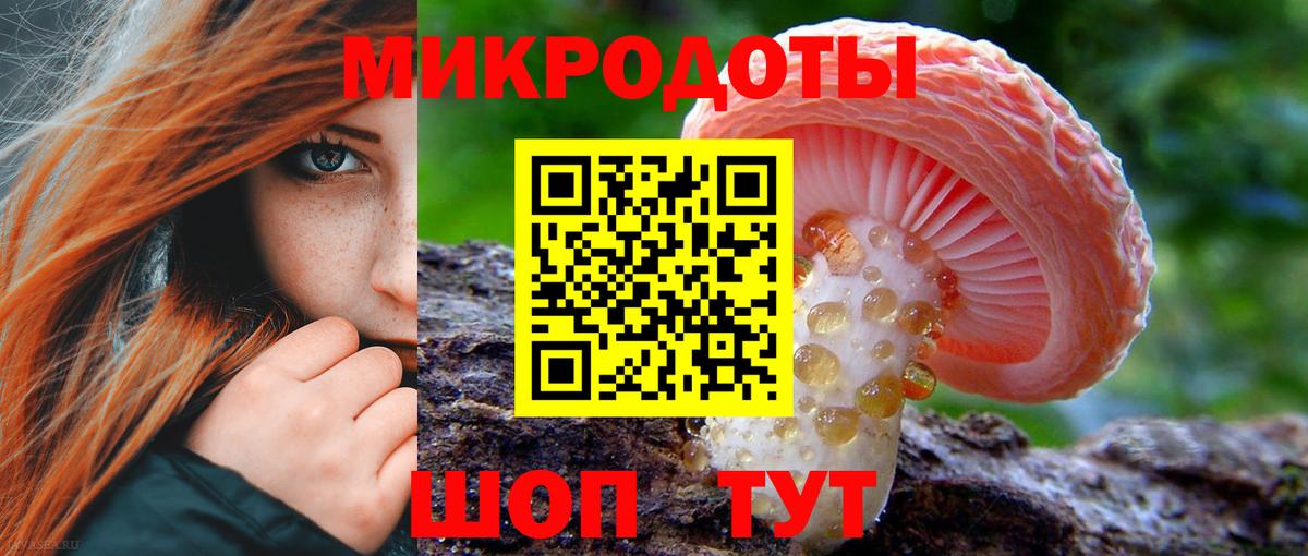 Галлюциногенные грибы Psilocybe Лосино-Петровский